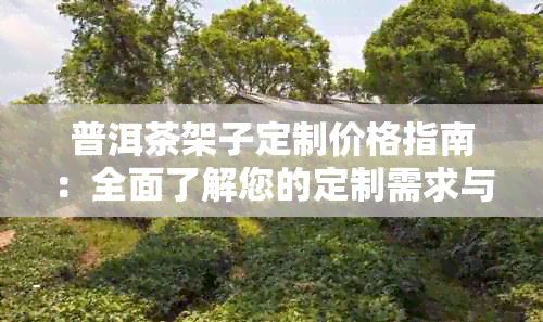 普洱茶架子定制价格指南：全面了解您的定制需求与预算