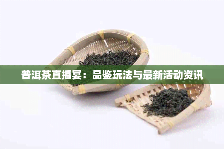 普洱茶直播宴：品鉴玩法与最新活动资讯