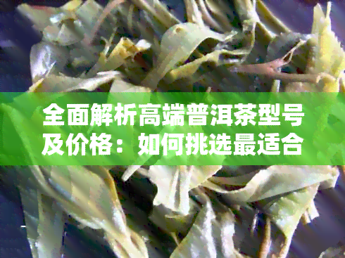 全面解析高端普洱茶型号及价格：如何挑选最适合您的普洱茶？