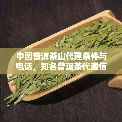 中国普洱茶山代理条件与电话，知名普洱茶代理信息