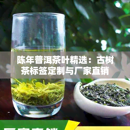 陈年普洱茶叶精选：古树茶标签定制与厂家直销