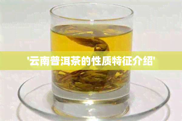 '云南普洱茶的性质特征介绍'