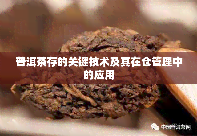 普洱茶存的关键技术及其在仓管理中的应用