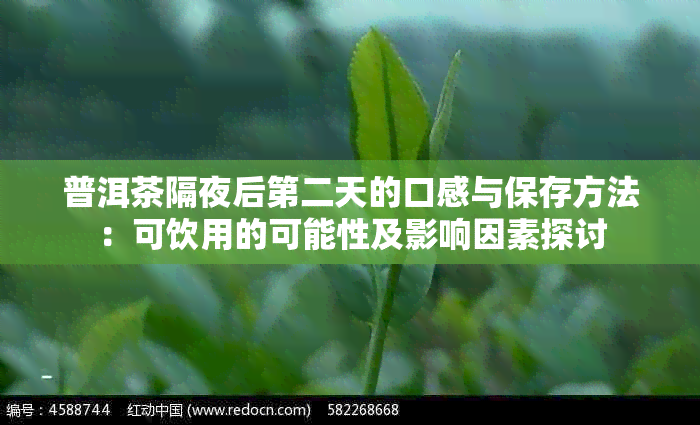 普洱茶隔夜后第二天的口感与保存方法：可饮用的可能性及影响因素探讨