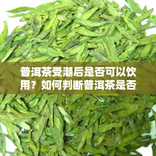 普洱茶受潮后是否可以饮用？如何判断普洱茶是否受潮？