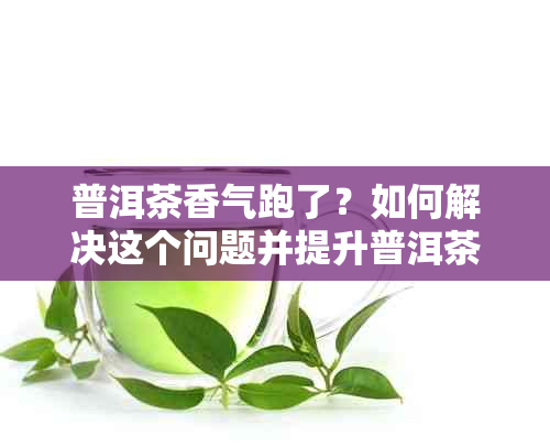 普洱茶香气跑了？如何解决这个问题并提升普洱茶的香气品质