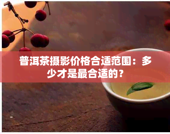 普洱茶摄影价格合适范围：多少才是最合适的？