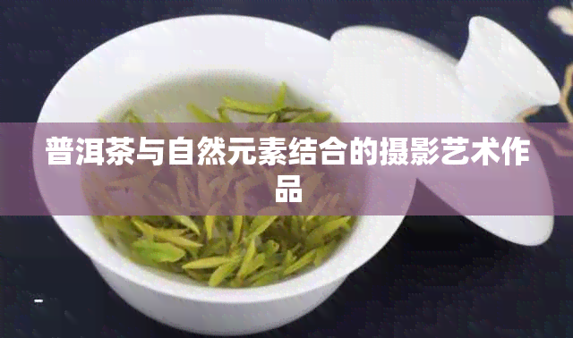 普洱茶与自然元素结合的摄影艺术作品