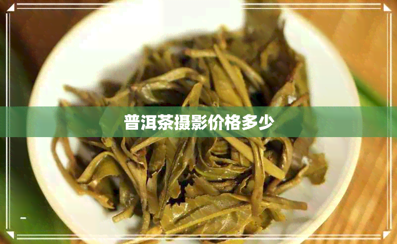 普洱茶摄影价格多少