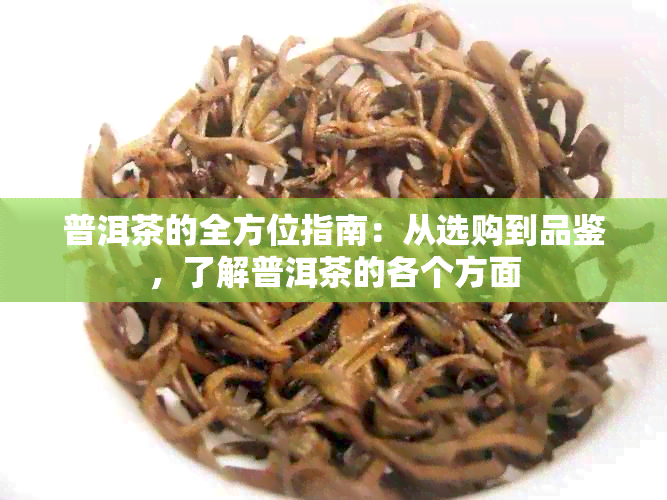 普洱茶的全方位指南：从选购到品鉴，了解普洱茶的各个方面