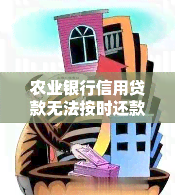 农业银行信用贷款无法按时还款的解决方法和建议