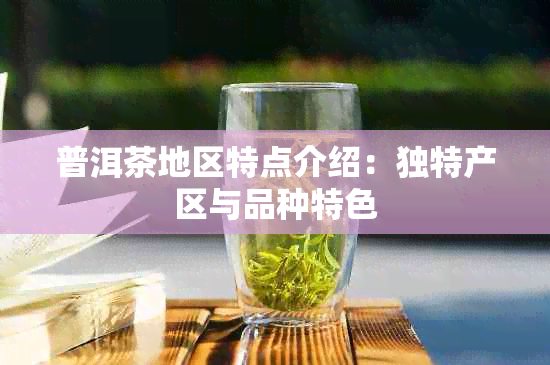 普洱茶地区特点介绍：独特产区与品种特色