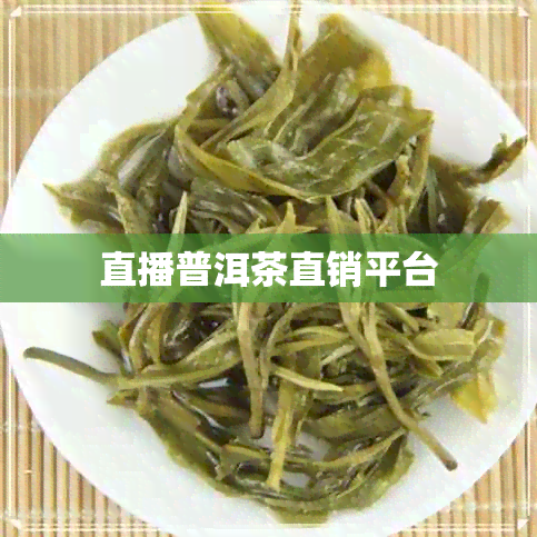 直播普洱茶直销平台