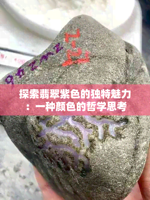 探索翡翠紫色的独特魅力：一种颜色的哲学思考