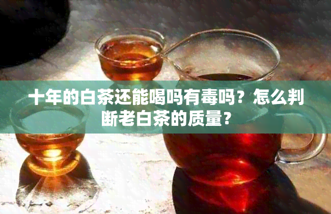 十年的白茶还能喝吗有吗？怎么判断老白茶的质量？