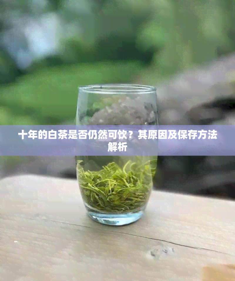 十年的白茶是否仍然可饮？其原因及保存方法解析