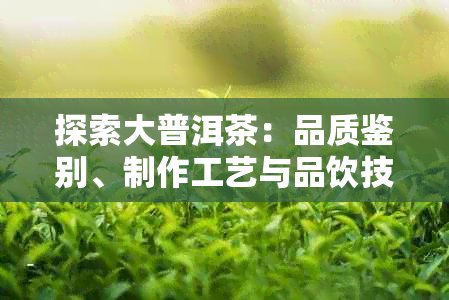 探索大普洱茶：品质鉴别、制作工艺与品饮技巧全方位解析