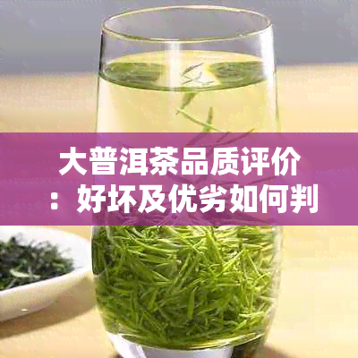 大普洱茶品质评价：好坏及优劣如何判断？