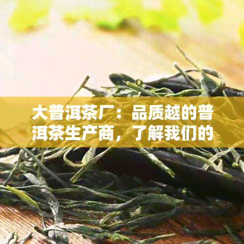 大普洱茶厂：品质越的普洱茶生产商，了解我们的产品、历与文化