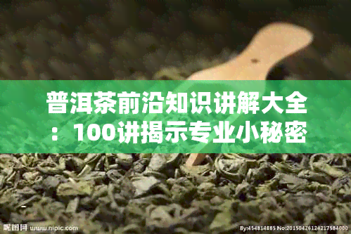 普洱茶前沿知识讲解大全：100讲揭示专业小秘密