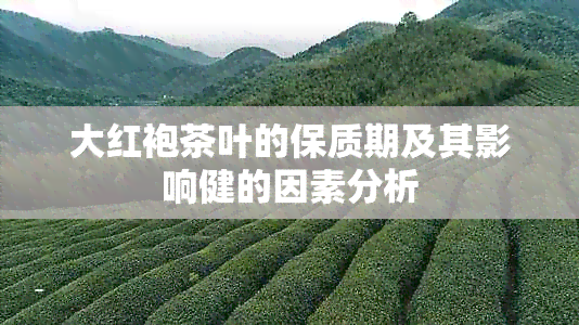 大红袍茶叶的保质期及其影响健的因素分析