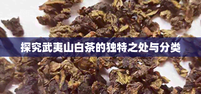 探究武夷山白茶的独特之处与分类