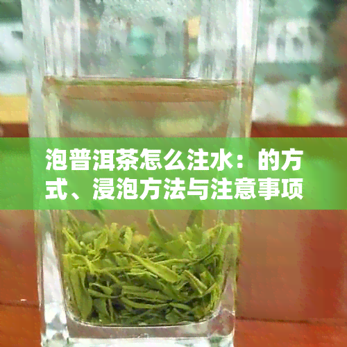 泡普洱茶怎么注水：的方式、浸泡方法与注意事项