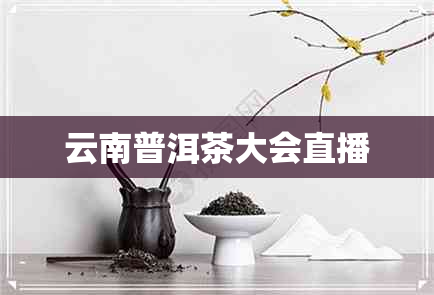 云南普洱茶大会直播