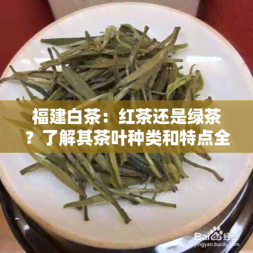 福建白茶：红茶还是绿茶？了解其茶叶种类和特点全解析