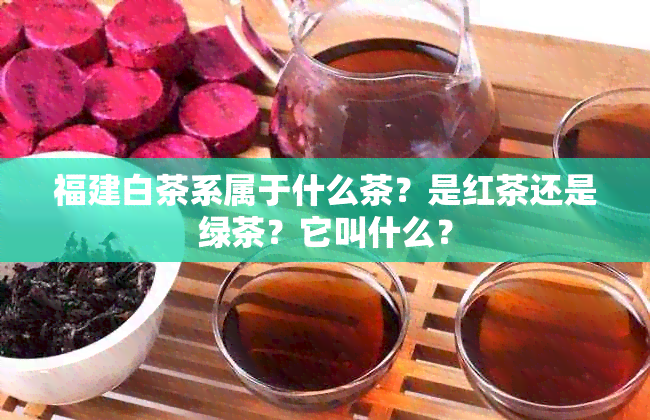 福建白茶系属于什么茶？是红茶还是绿茶？它叫什么？