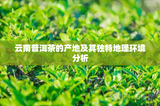 云南普洱茶的产地及其独特地理环境分析