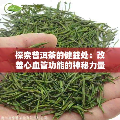 探索普洱茶的健益处：改善心血管功能的神秘力量