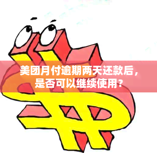 美团月付逾期两天还款后，是否可以继续使用？