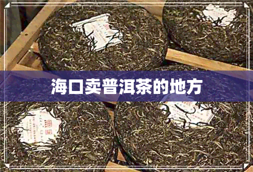 海口卖普洱茶的地方