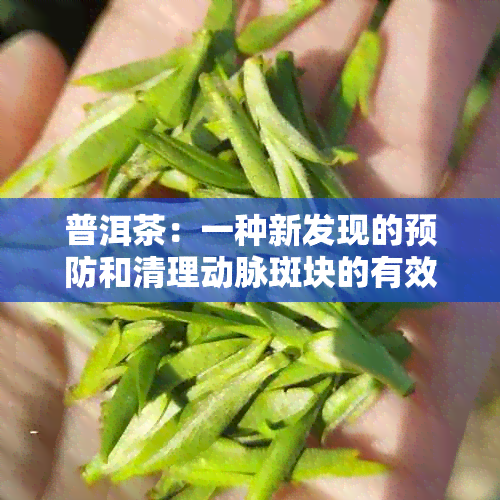 普洱茶：一种新发现的预防和清理动脉斑块的有效方法