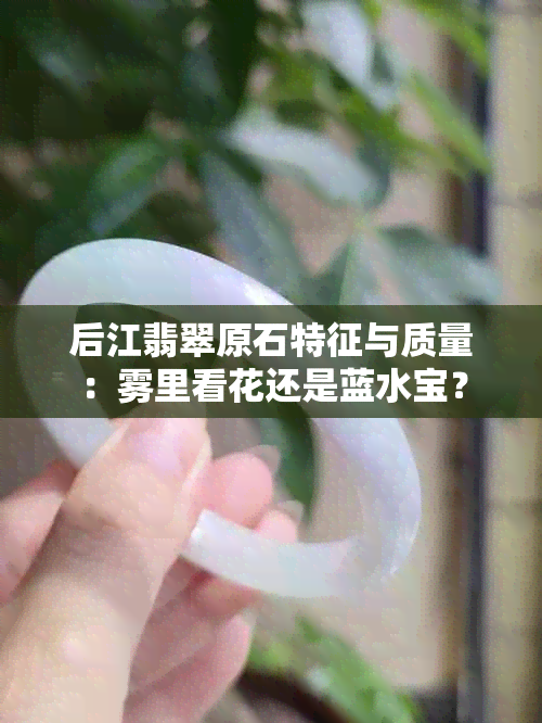 后江翡翠原石特征与质量：雾里看花还是蓝水宝？