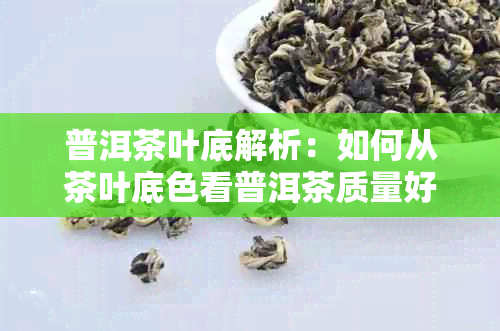 普洱茶叶底解析：如何从茶叶底色看普洱茶质量好坏