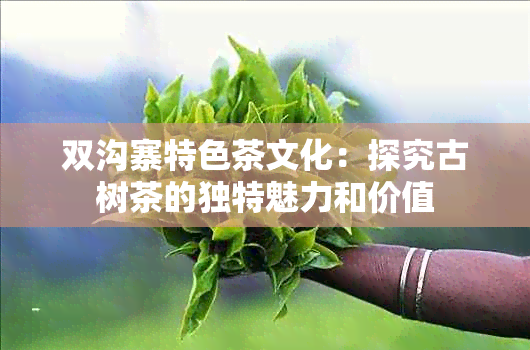 双沟寨特色茶文化：探究古树茶的独特魅力和价值