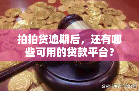 拍拍贷逾期后，还有哪些可用的贷款平台？