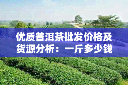 优质普洱茶批发价格及货源分析：一斤多少钱？