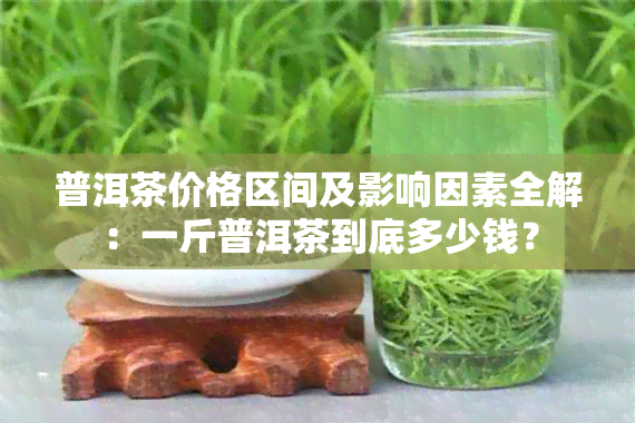 普洱茶价格区间及影响因素全解：一斤普洱茶到底多少钱？