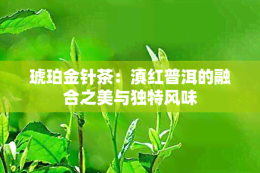 琥珀金针茶：滇红普洱的融合之美与独特风味