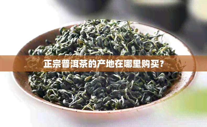 正宗普洱茶的产地在哪里购买？