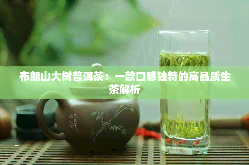 布朗山大树普洱茶：一款口感独特的高品质生茶解析