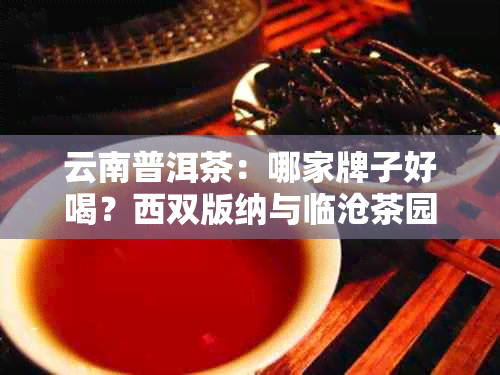 云南普洱茶：哪家牌子好喝？西双版纳与临沧茶园对比