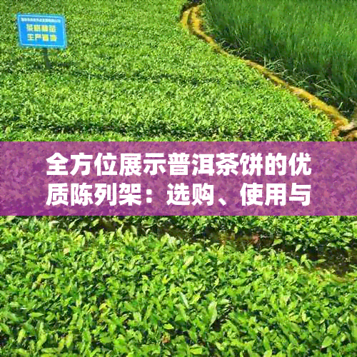 全方位展示普洱茶饼的优质陈列架：选购、使用与维护指南