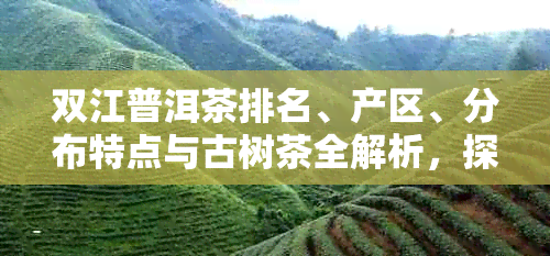 双江普洱茶排名、产区、分布特点与古树茶全解析，探索双江县的茶叶魅力