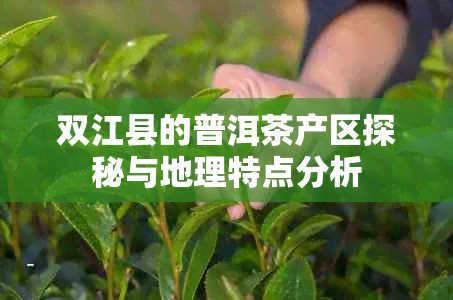 双江县的普洱茶产区探秘与地理特点分析