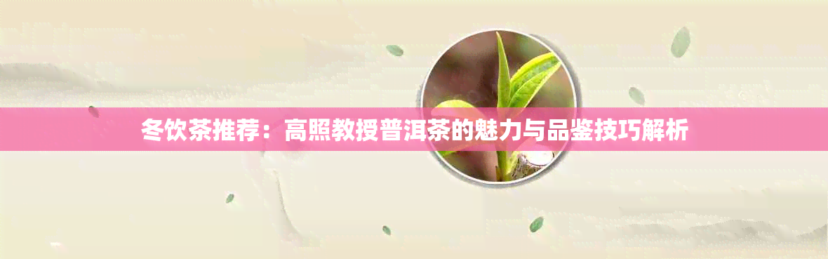 冬饮茶推荐：高照教授普洱茶的魅力与品鉴技巧解析