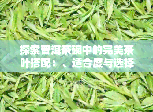 探索普洱茶碗中的完美茶叶搭配：、适合度与选择技巧